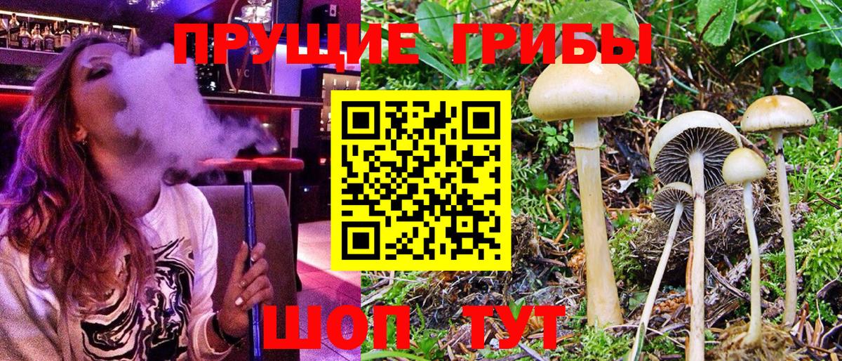 Магнитогорск  Псилоцибиновые грибы прущие грибы  Вход с VPN 